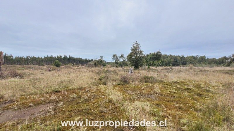 Parcela en venta en Puerto Montt — foto 4
