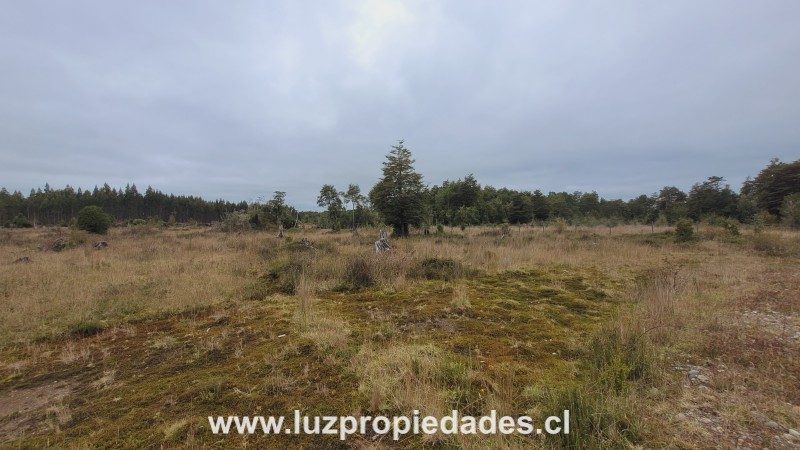 Parcela en venta en Puerto Montt — foto 5