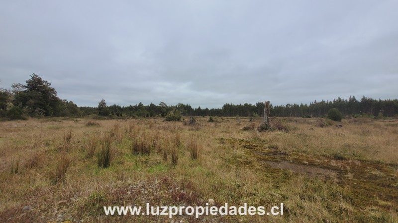 Parcela en venta en Puerto Montt — foto 8