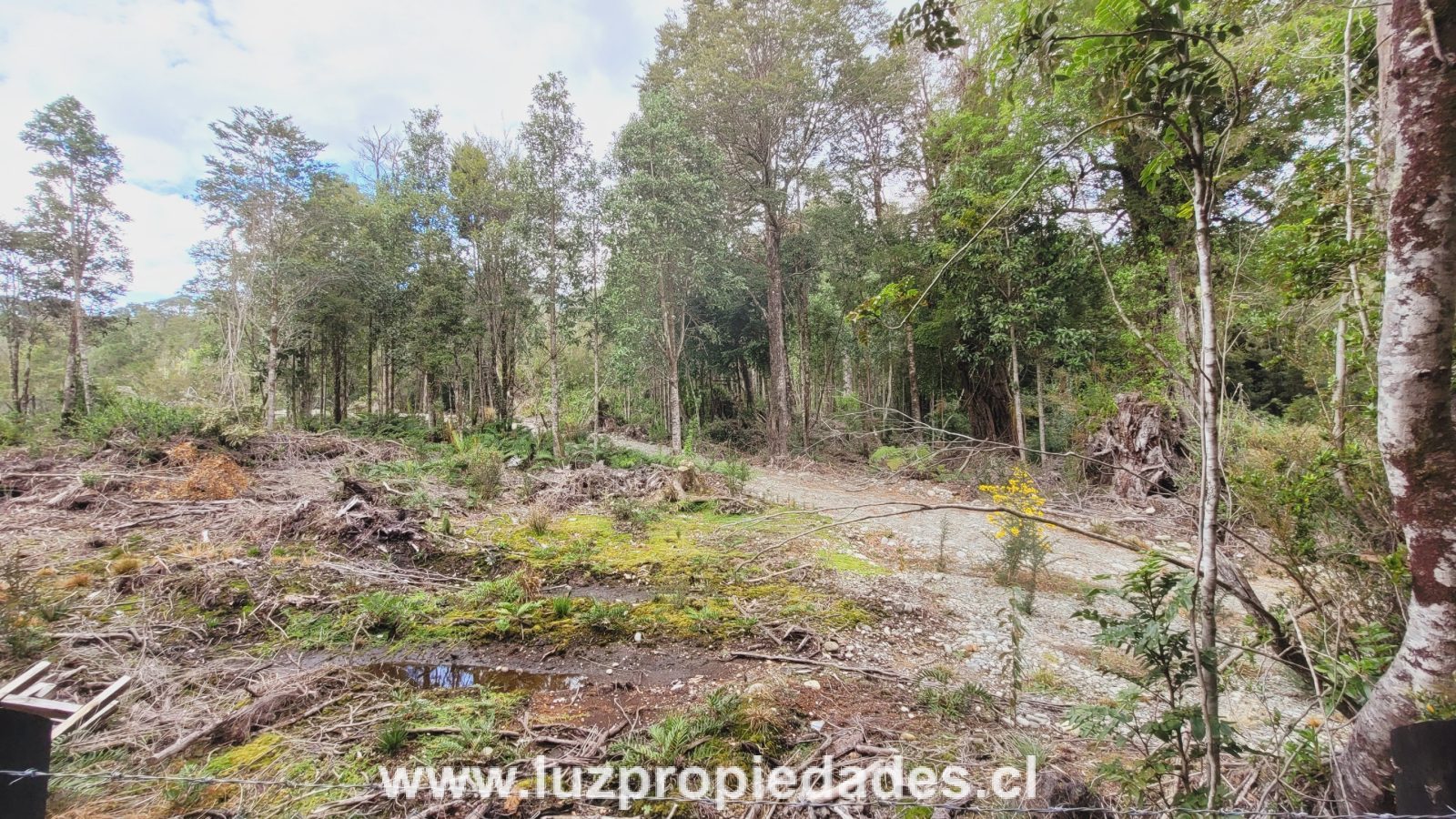 Parcela en venta en Puerto Montt — foto 4