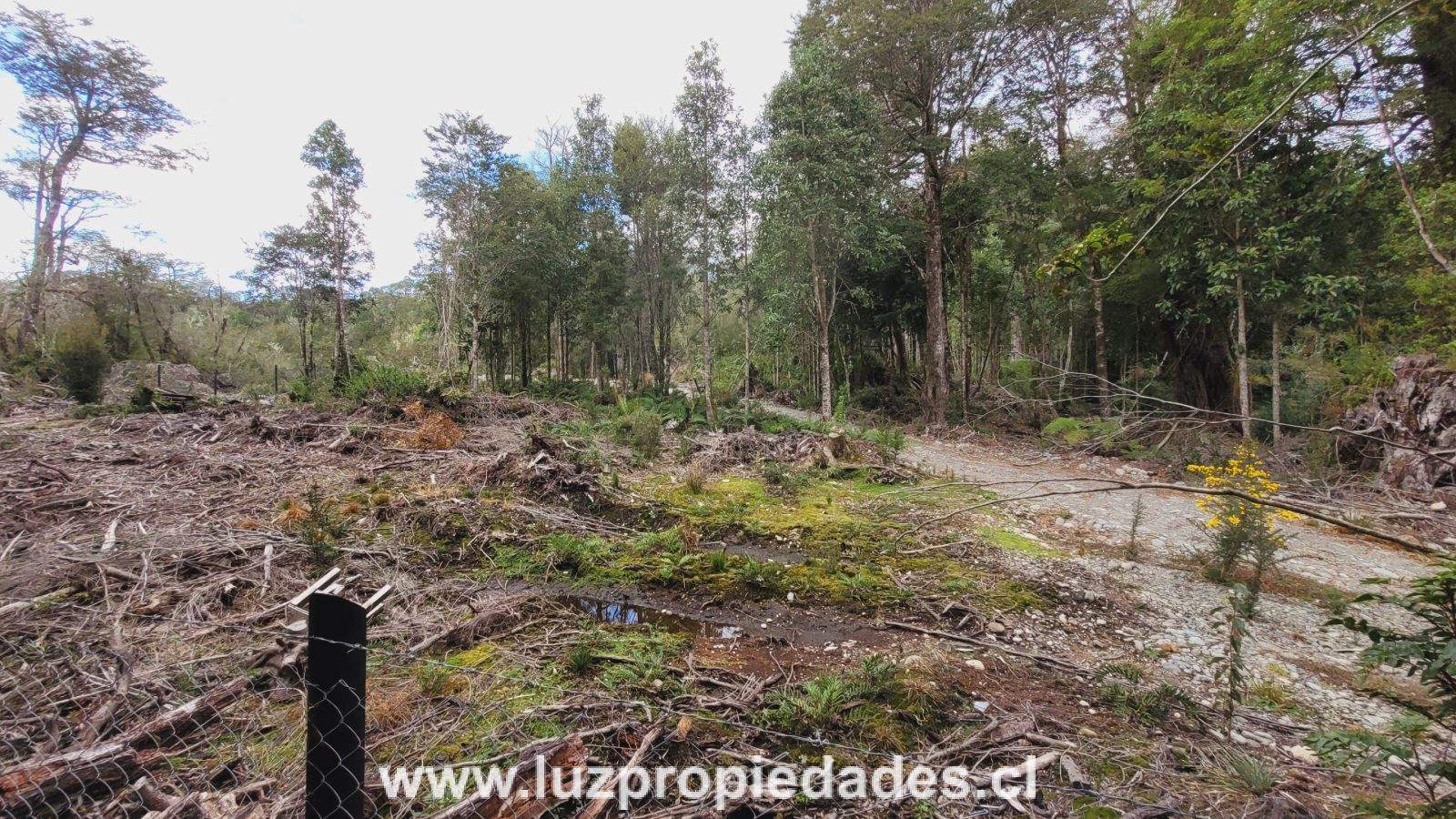Parcela en venta en Puerto Montt — foto 5