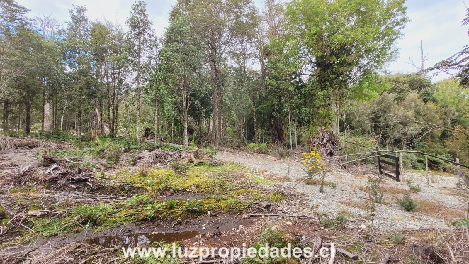 Parcela en venta en Puerto Montt — foto 7