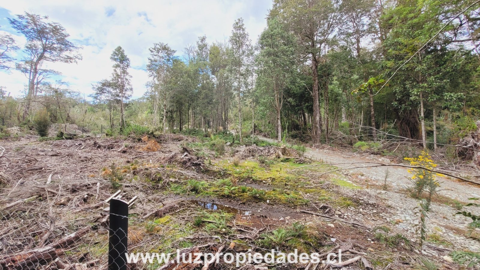 Parcela en venta en Puerto Montt — foto 8