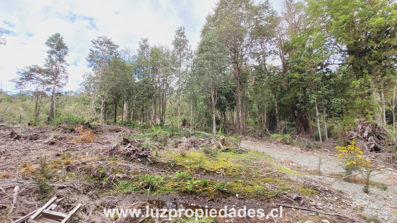 Parcela en venta en Puerto Montt — foto 9