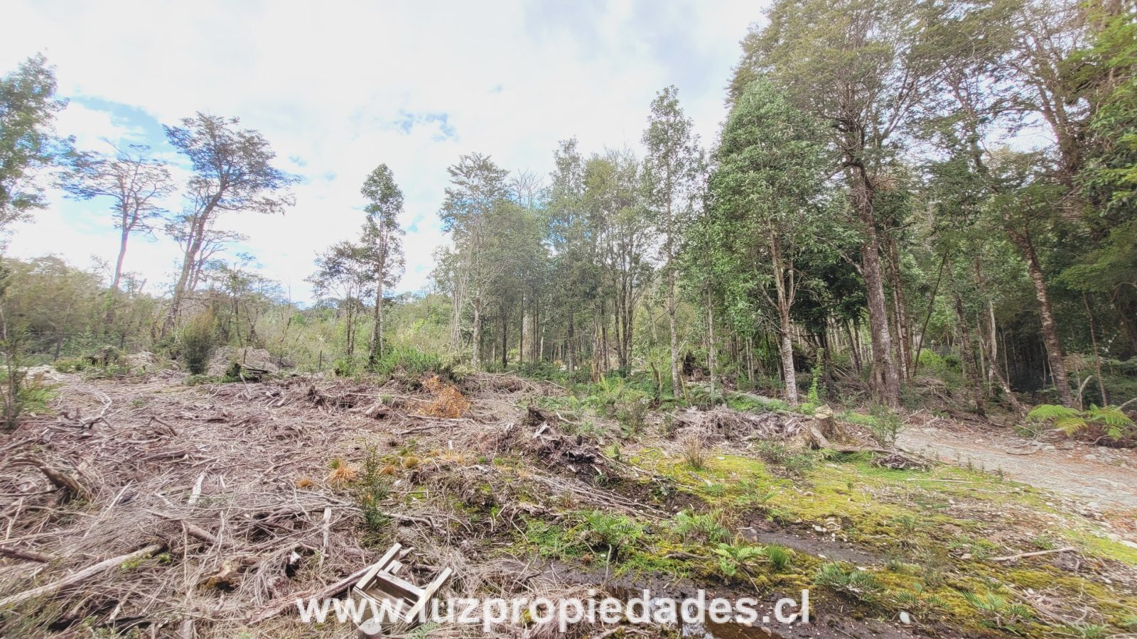Parcela en venta en Puerto Montt — foto 10