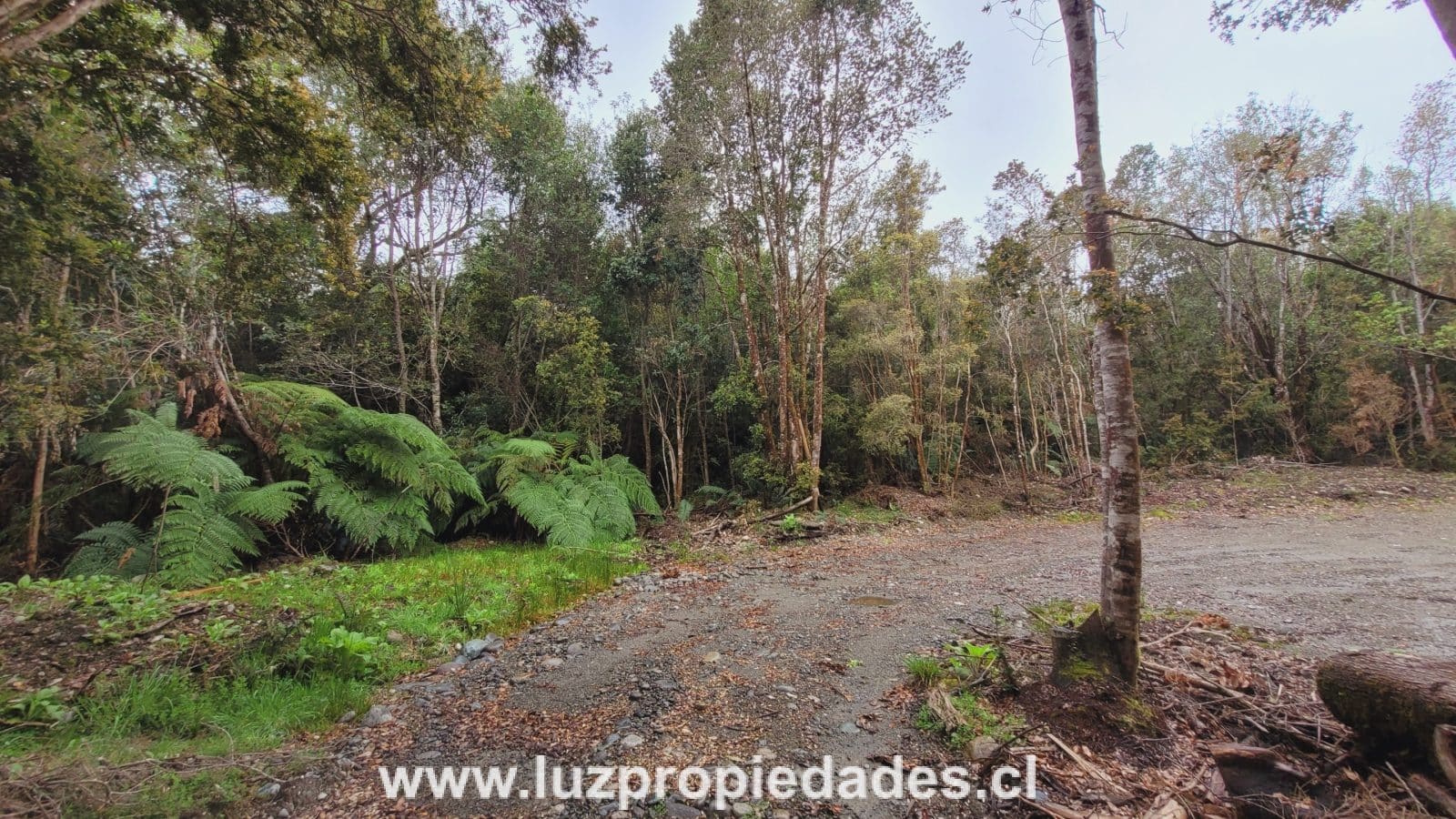 Parcela en venta en Puerto Montt — foto 6