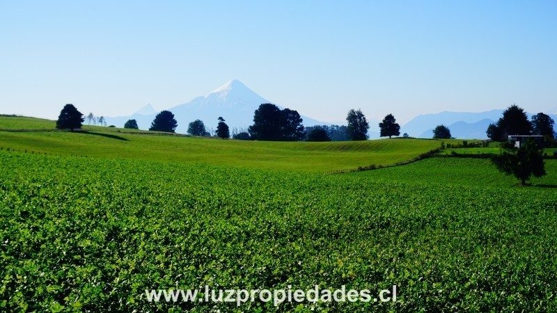 Parcela en venta en Llanquihue — foto 6