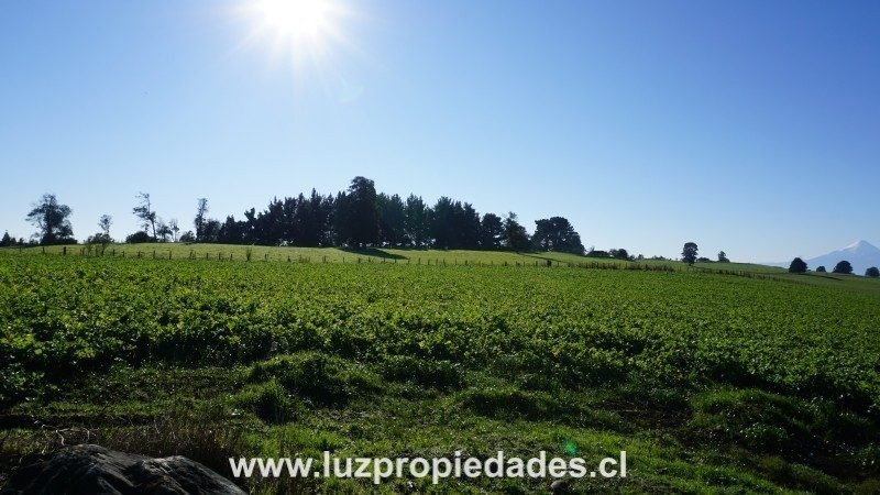 Parcela en venta en Llanquihue — foto 9