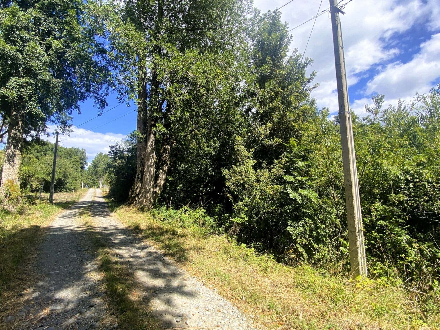 Parcela en venta en Frutillar — foto 4