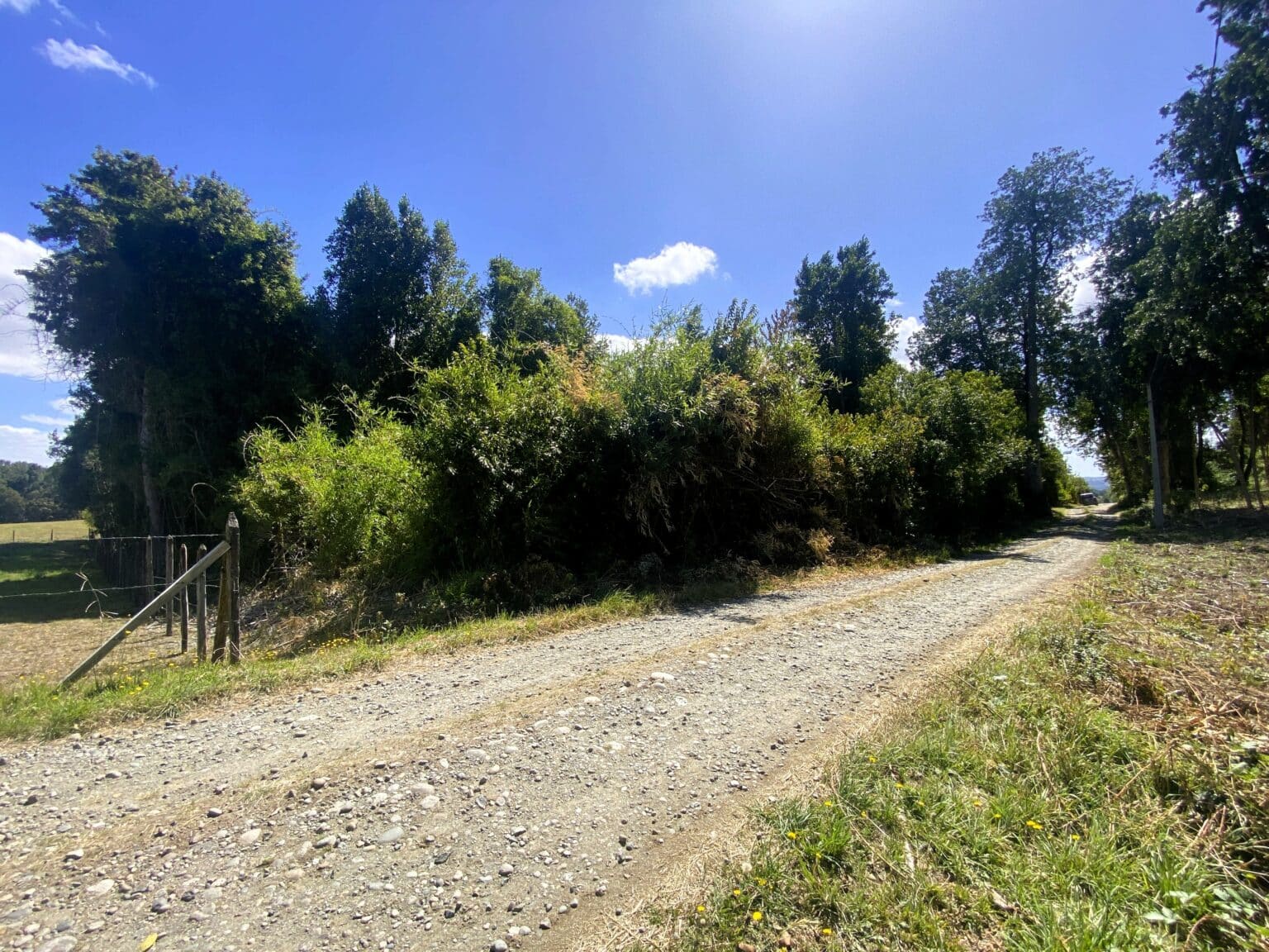 Parcela en venta en Frutillar — foto 6