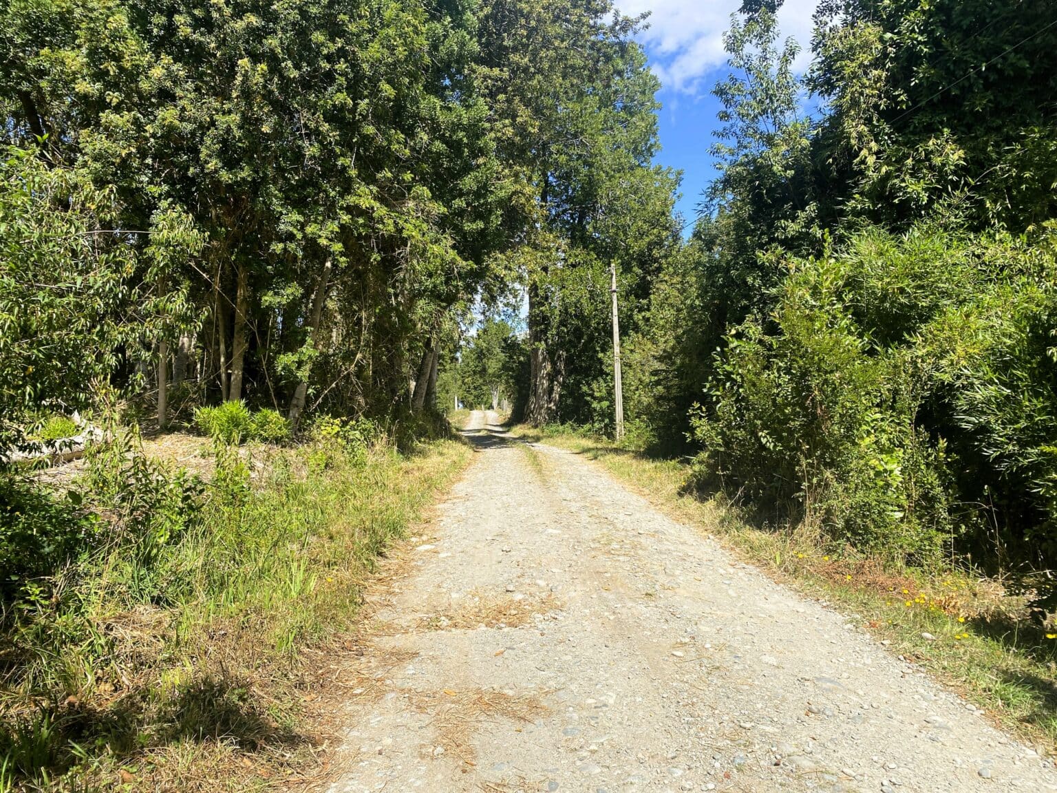 Parcela en venta en Frutillar — foto 8