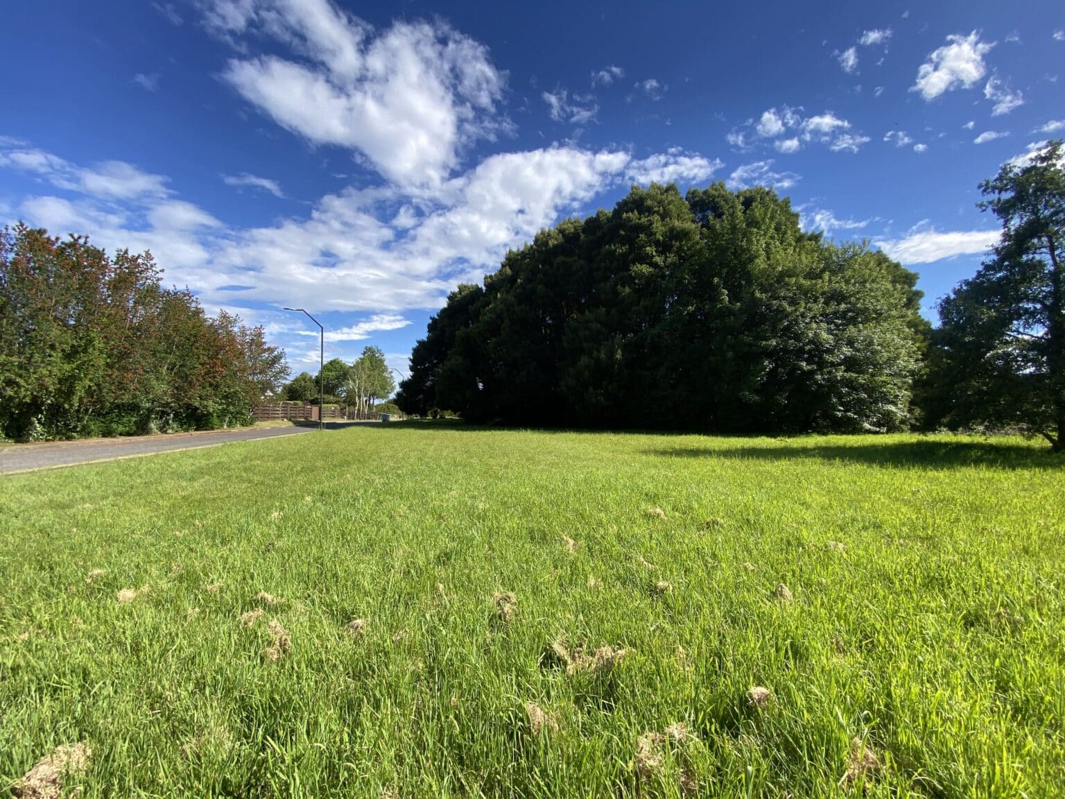 Terreno en venta en Puerto Varas — foto 6