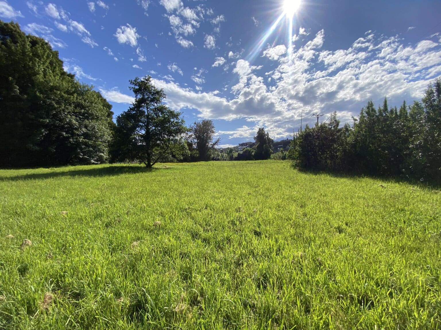 Terreno en venta en Puerto Varas — foto 7