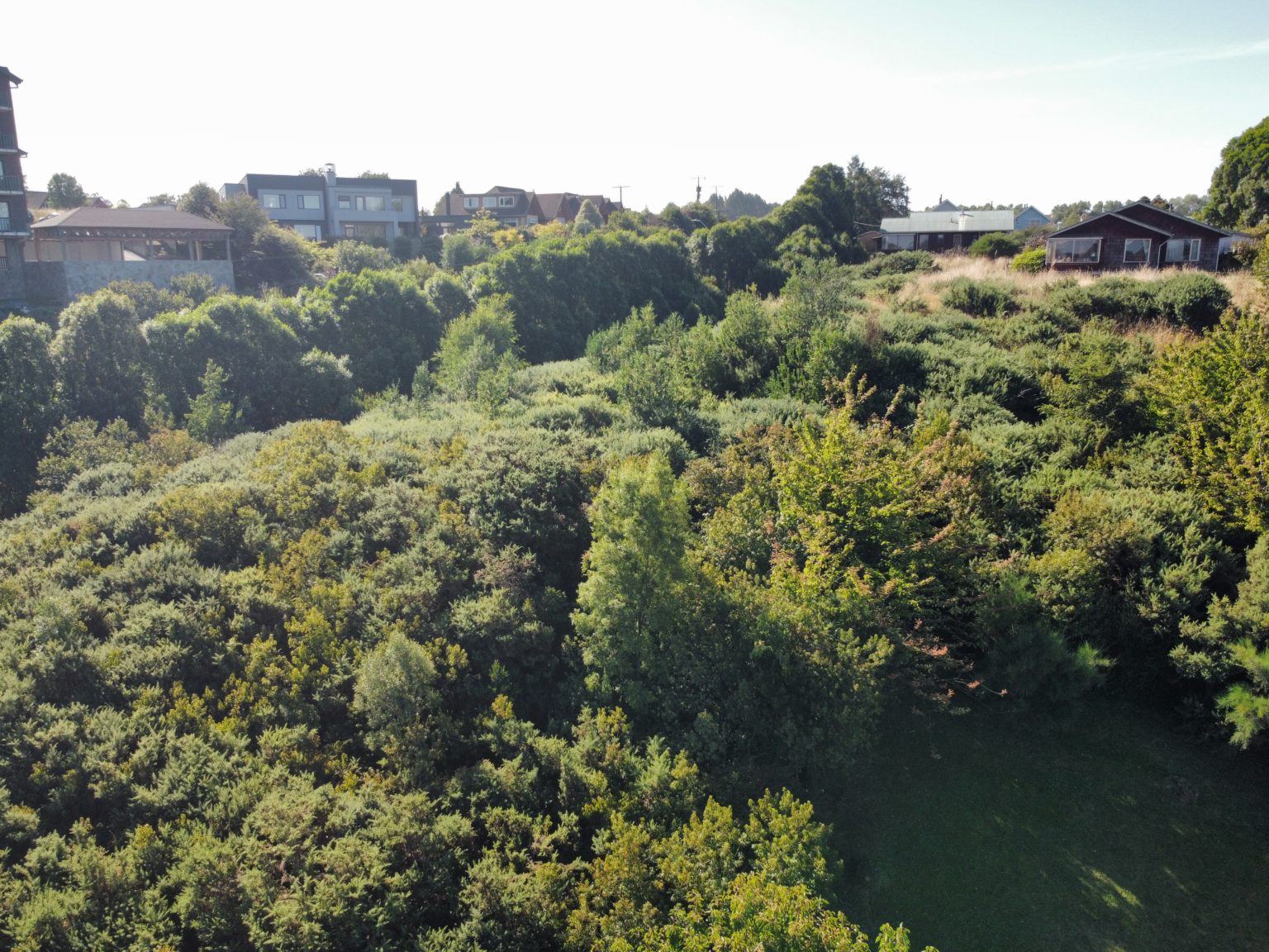 Terreno en venta en Puerto Varas — foto 3
