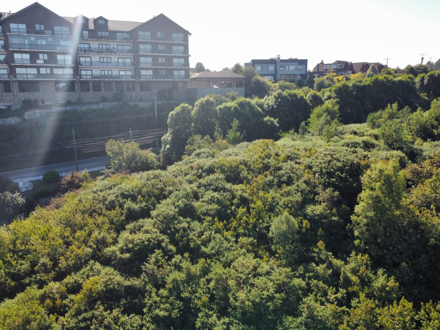 Terreno en venta en Puerto Varas — foto 4