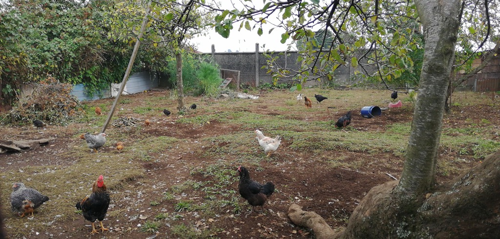 Terreno en venta en Puerto Montt — foto 8