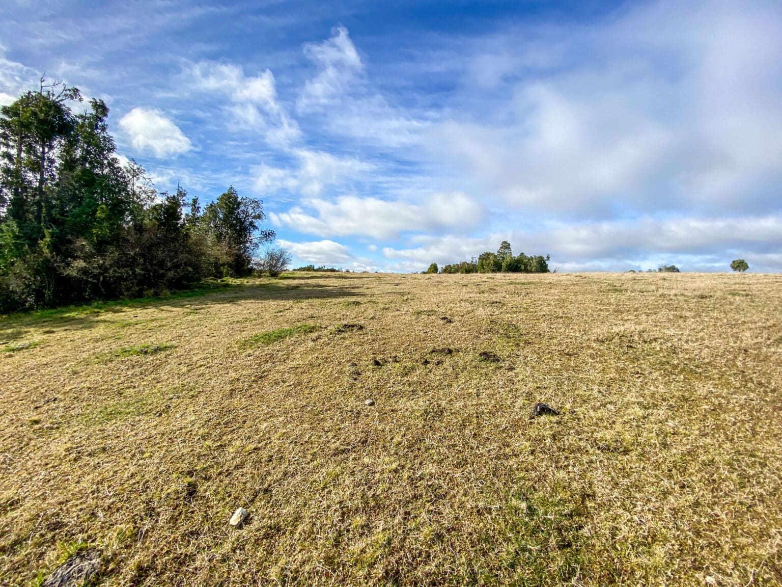 Terreno en venta en Los Muermos — foto 7