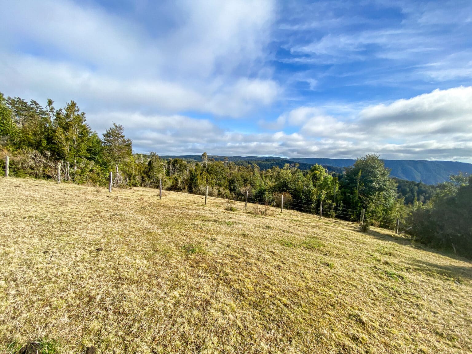 Terreno en venta en Los Muermos — foto 8