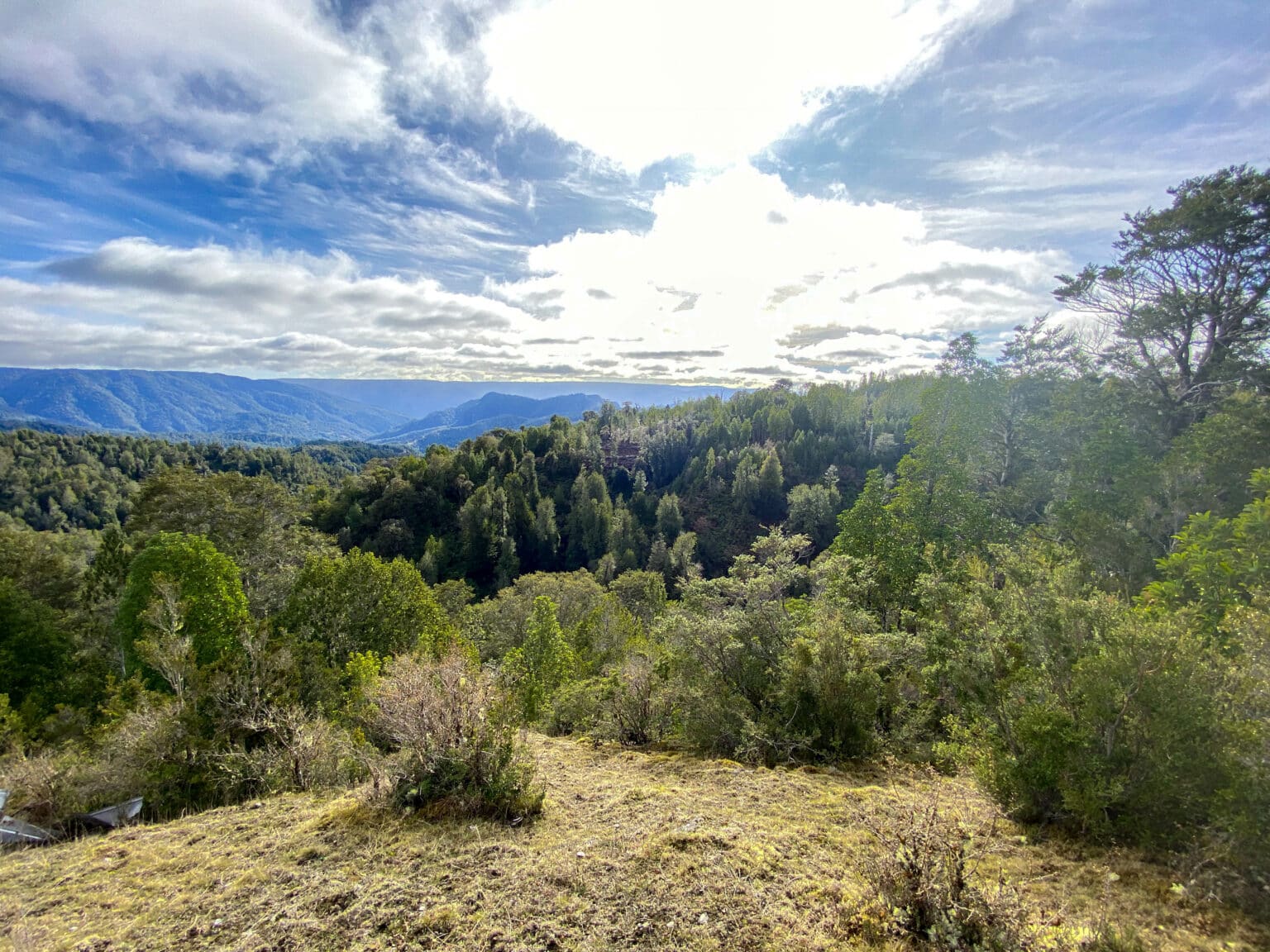 Terreno en venta en Los Muermos — foto 9