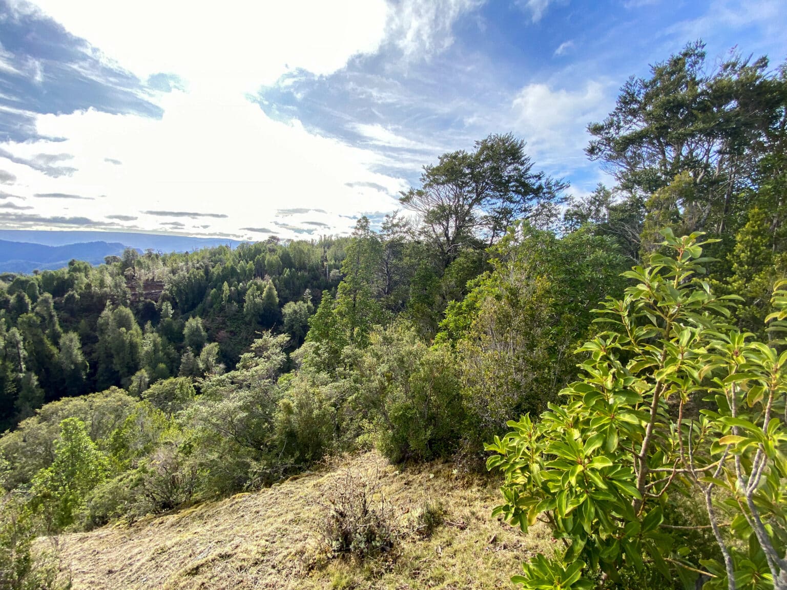 Terreno en venta en Los Muermos — foto 10