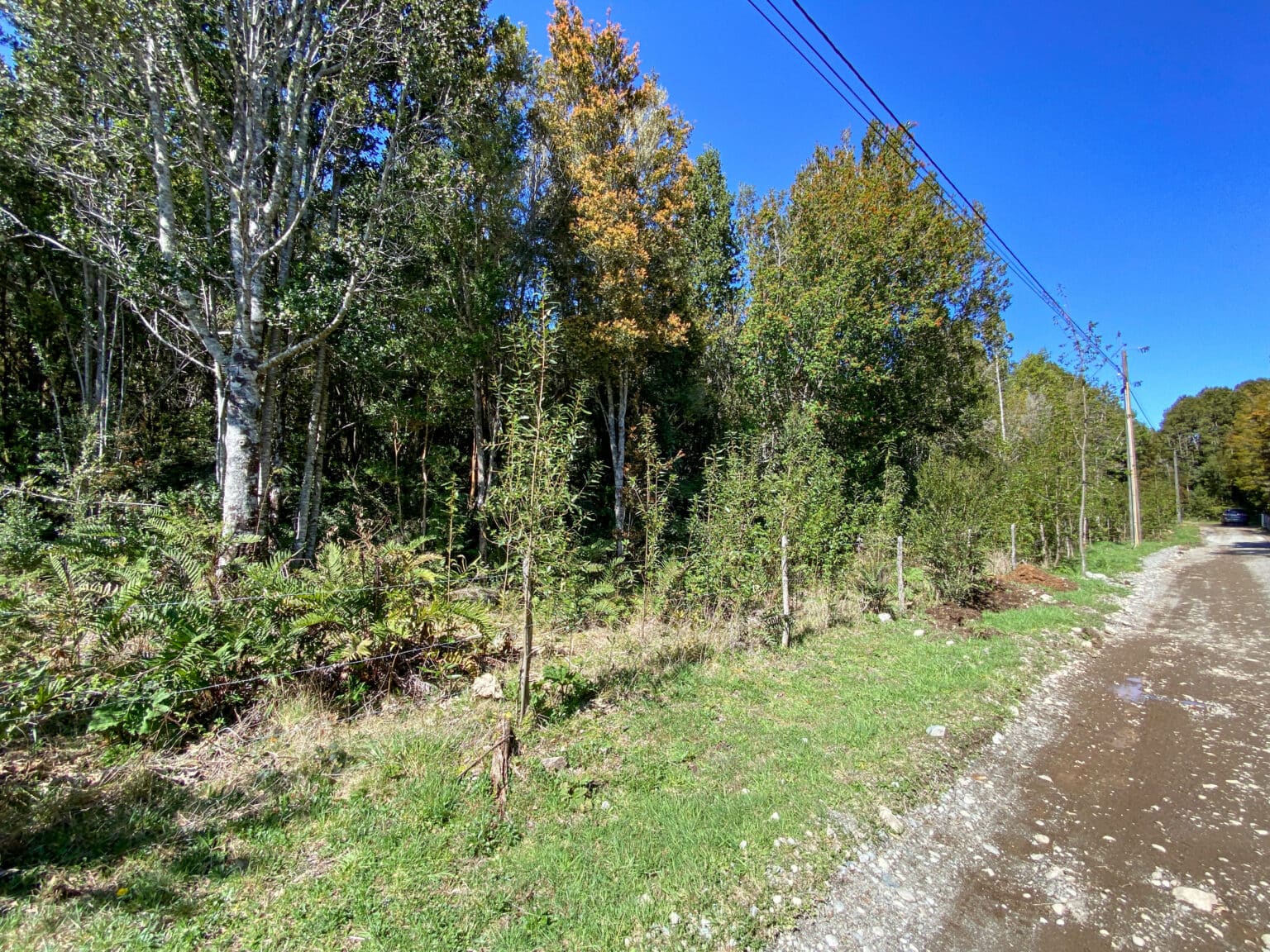 Parcela en venta en Puerto Varas — foto 10