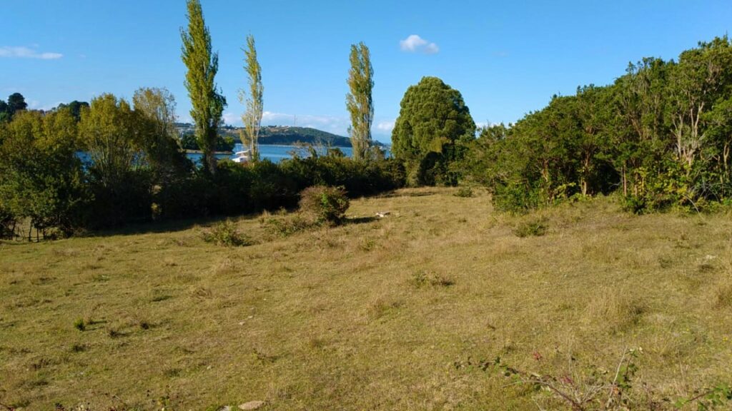 Parcela en venta en Calbuco — foto 9