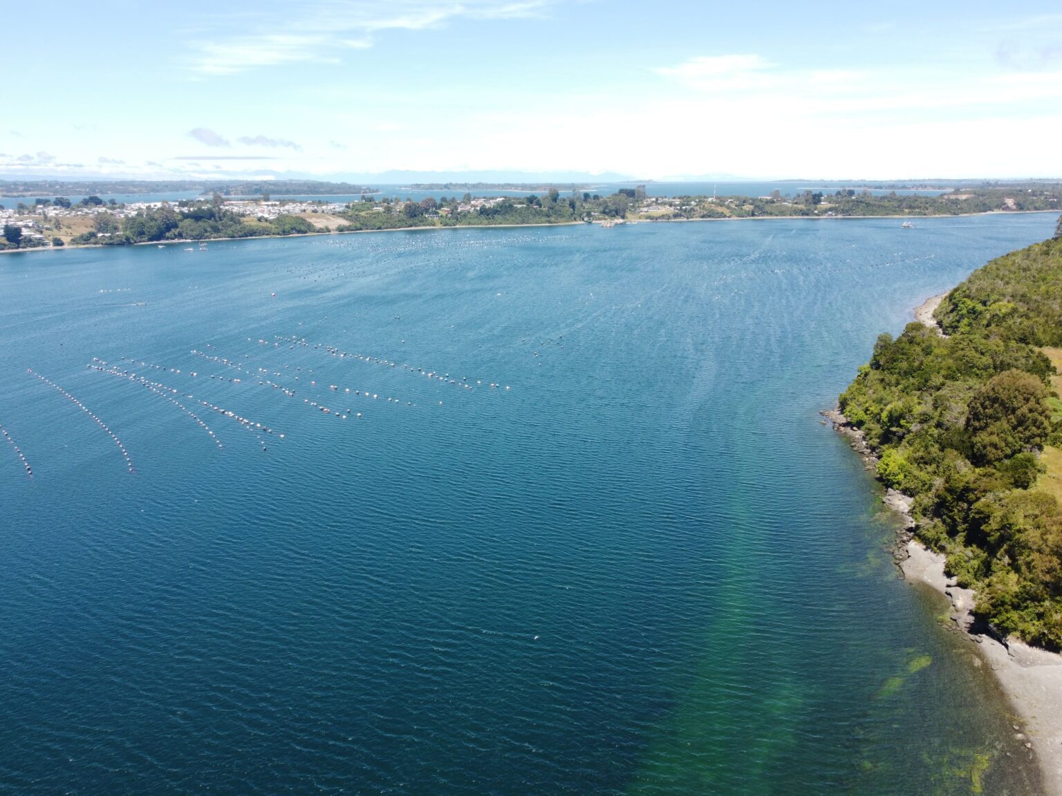 Parcela en venta en Calbuco — foto 8