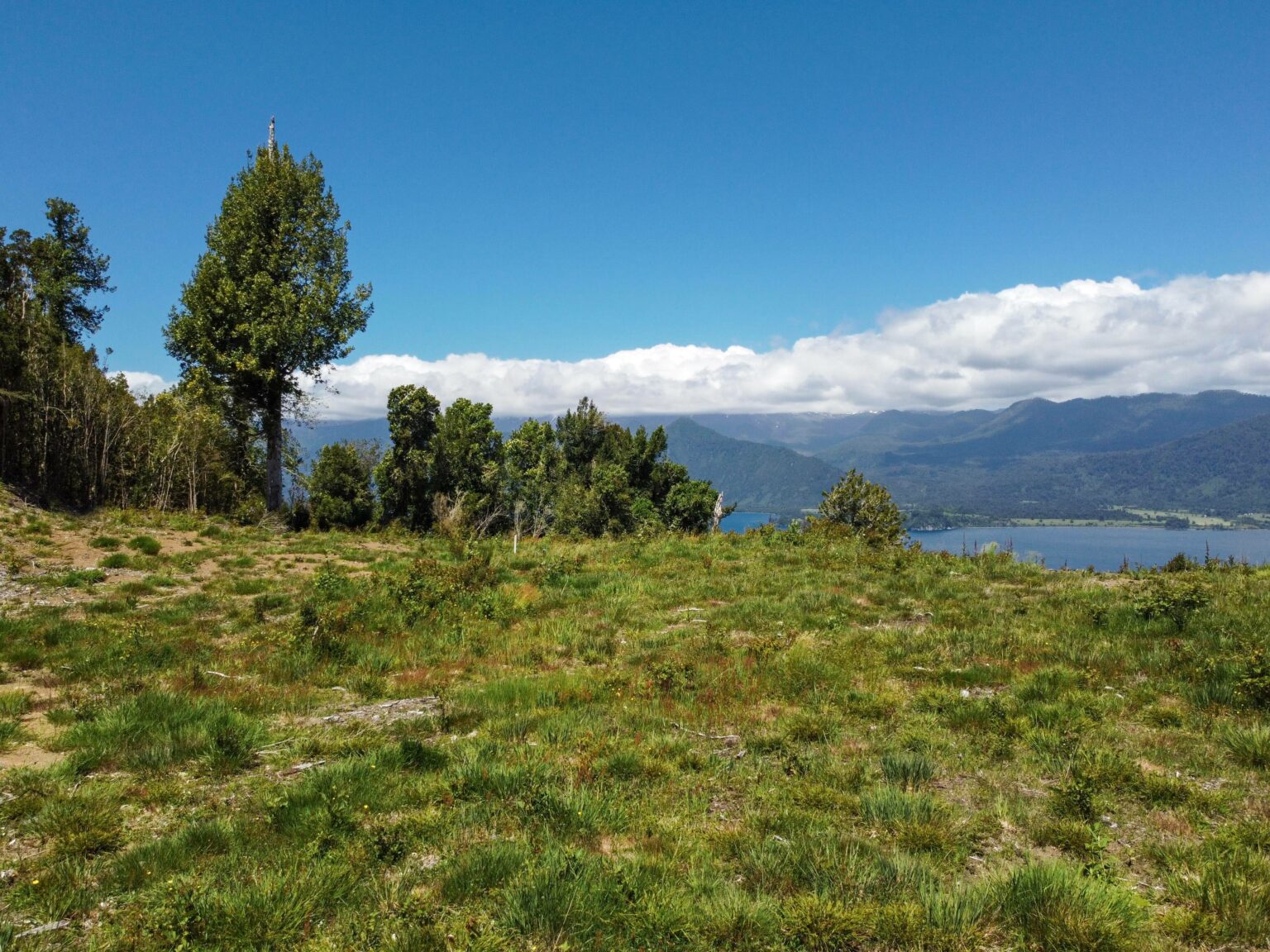 Parcela en venta en Puyehue — foto 3