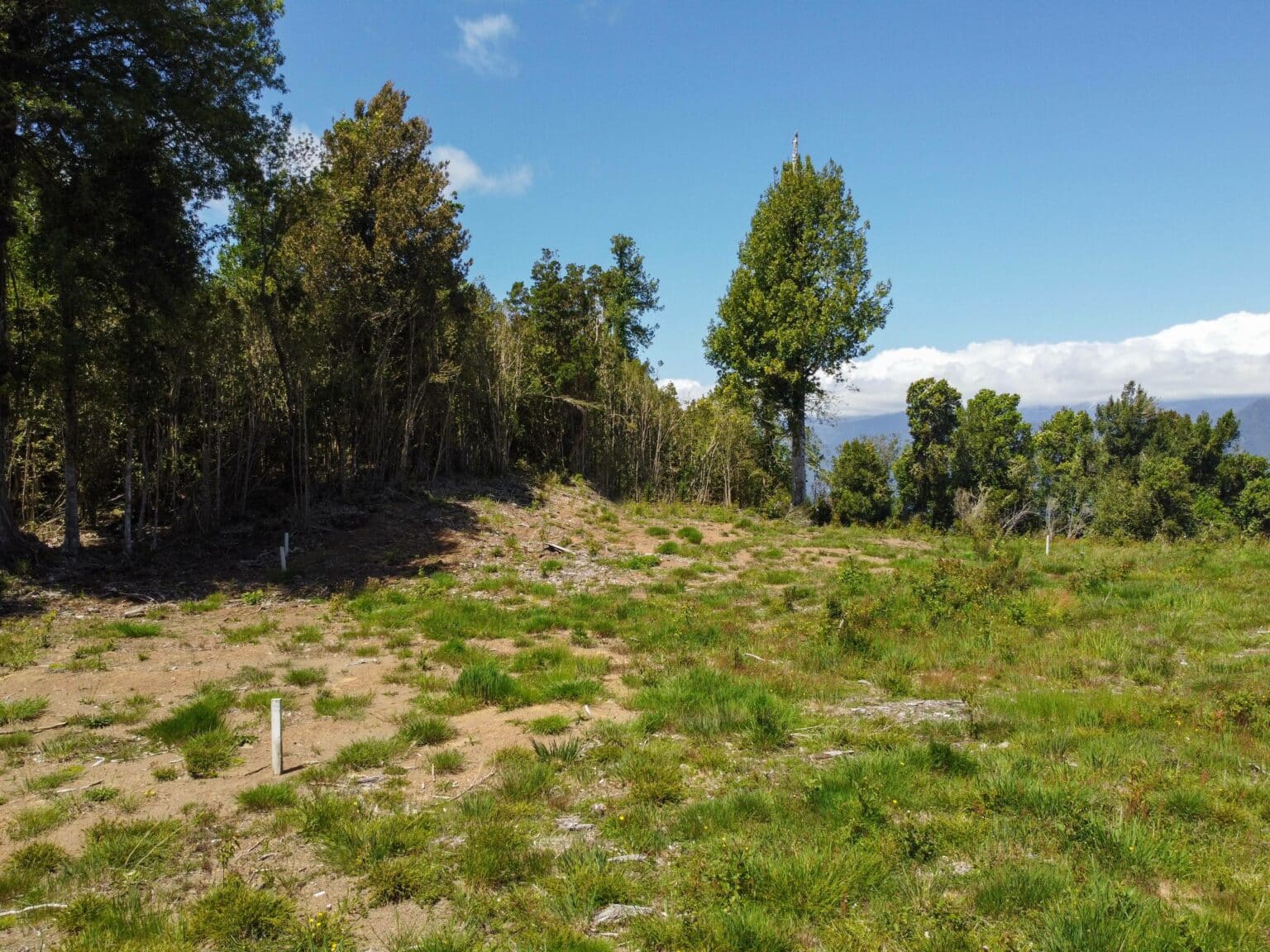 Parcela en venta en Puyehue — foto 5
