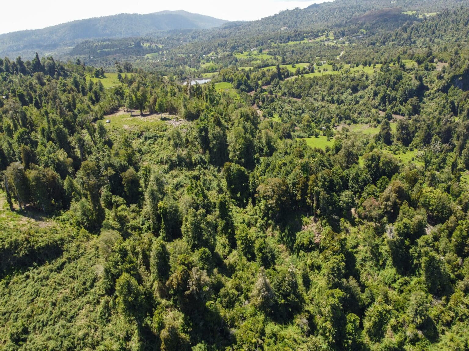Parcela en venta en Puyehue — foto 10