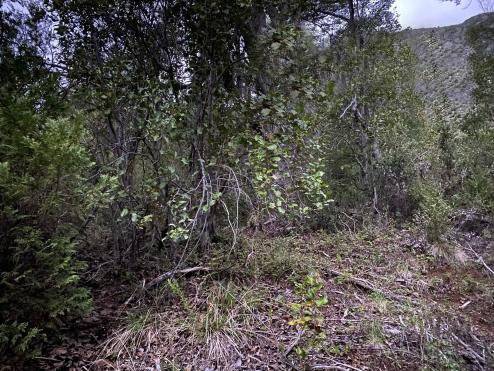 Parcela en venta en Futaleufú — foto 3