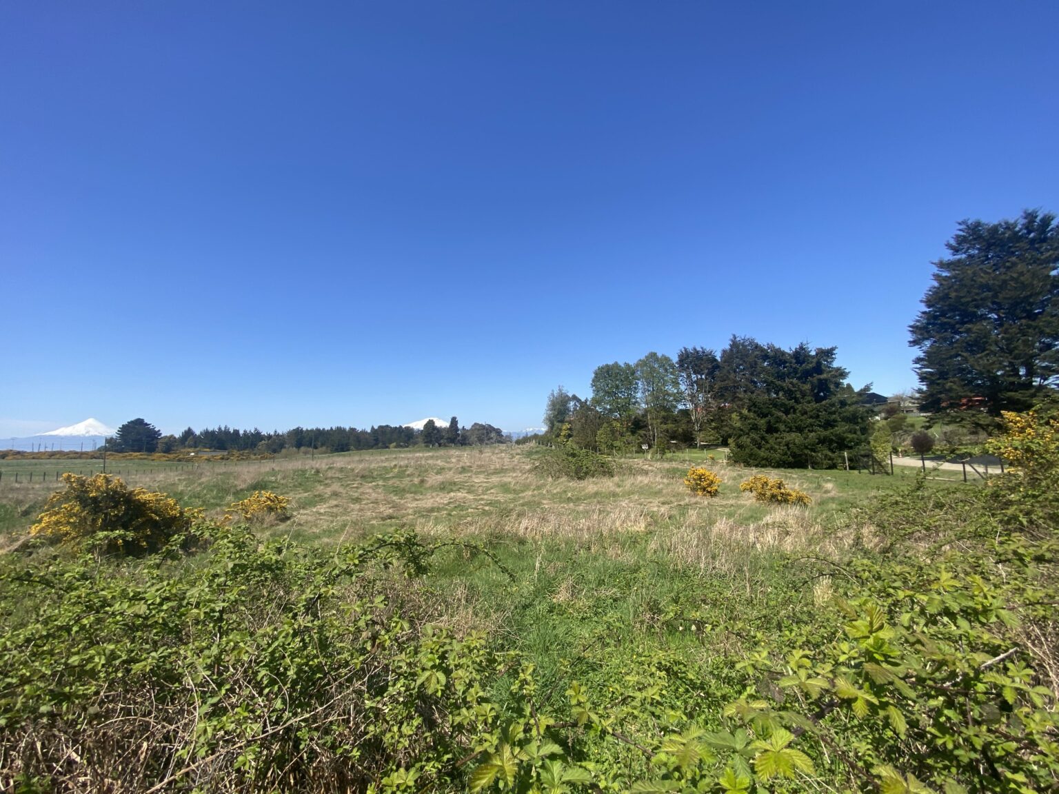 Terreno en arriendo en Puerto Varas — foto 8