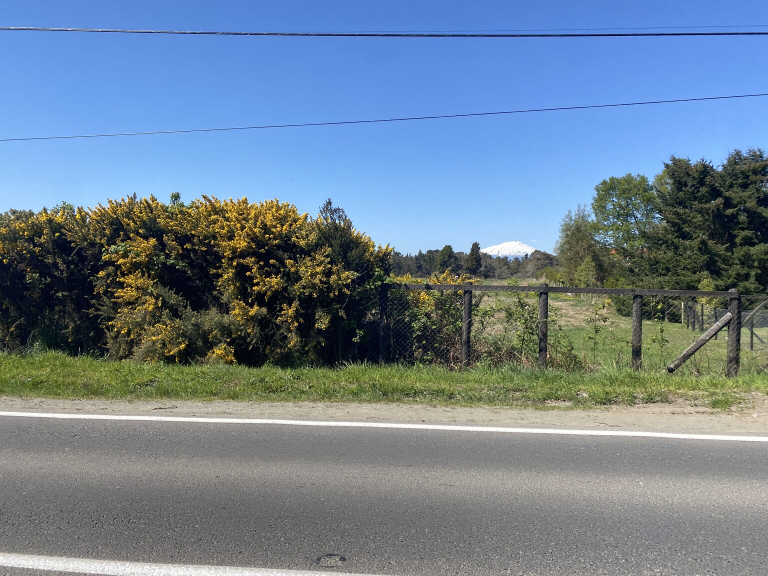 Terreno en arriendo en Puerto Varas — foto 9