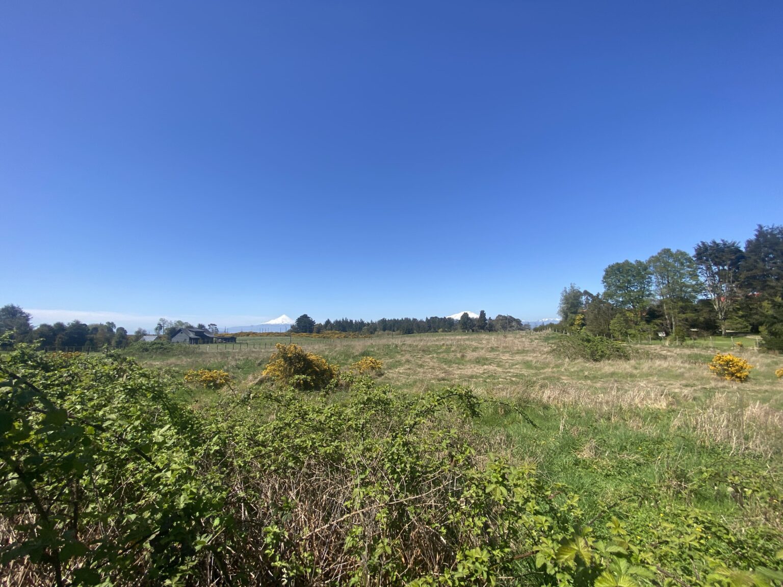 Terreno en arriendo en Puerto Varas — foto 10