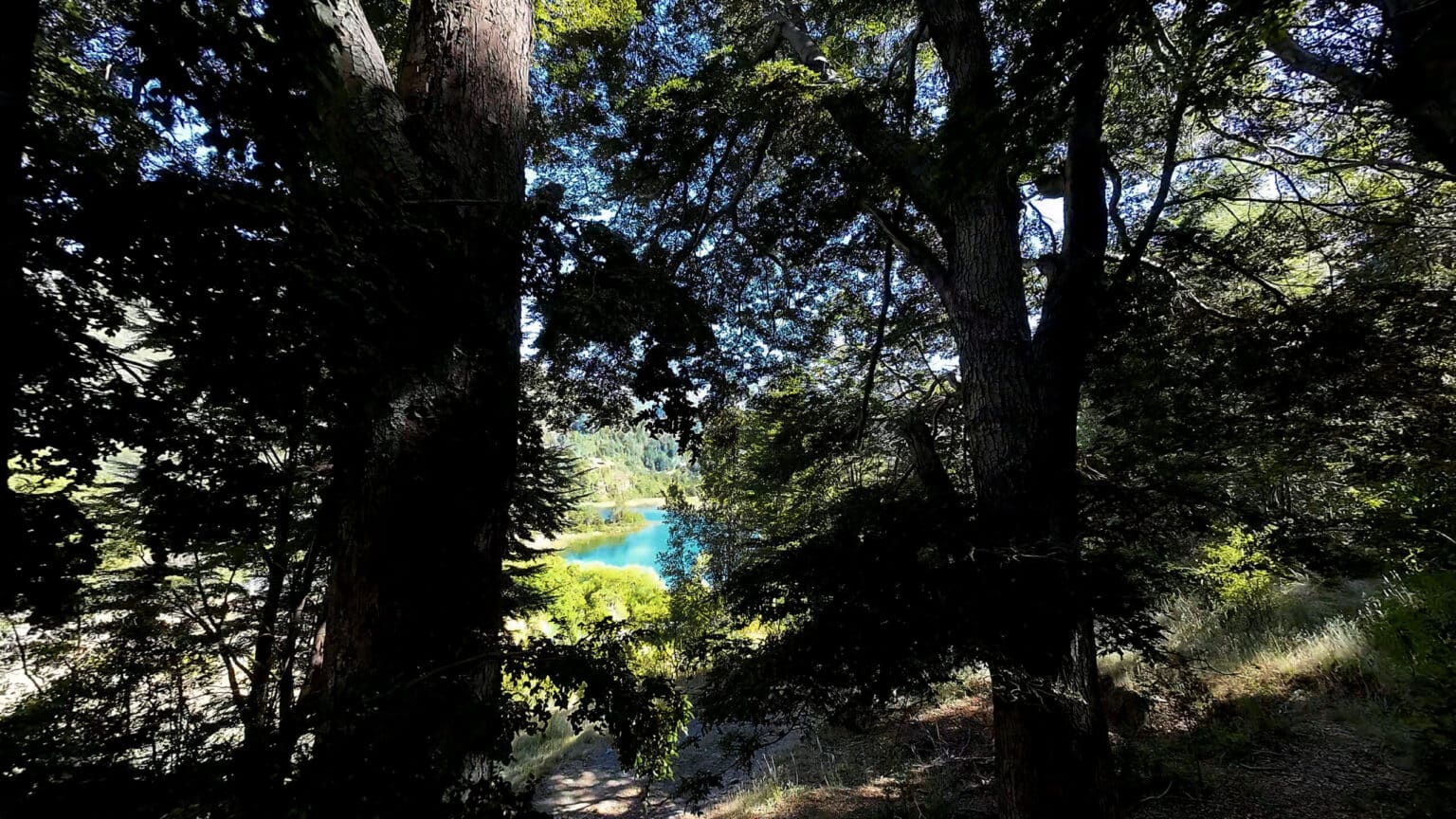 Parcela en venta en Futaleufú — foto 9