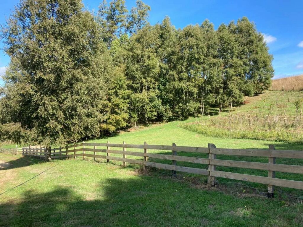Parcela en venta en Osorno — foto 8