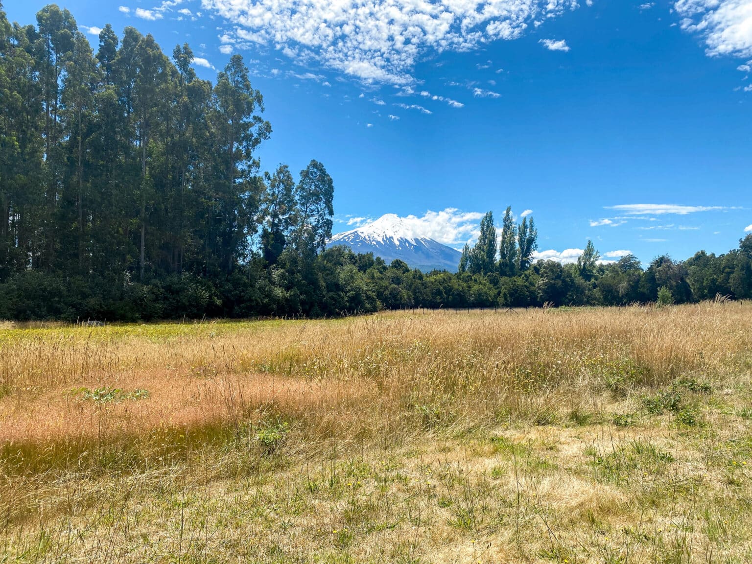 Parcela en venta en Puerto Varas — foto 7