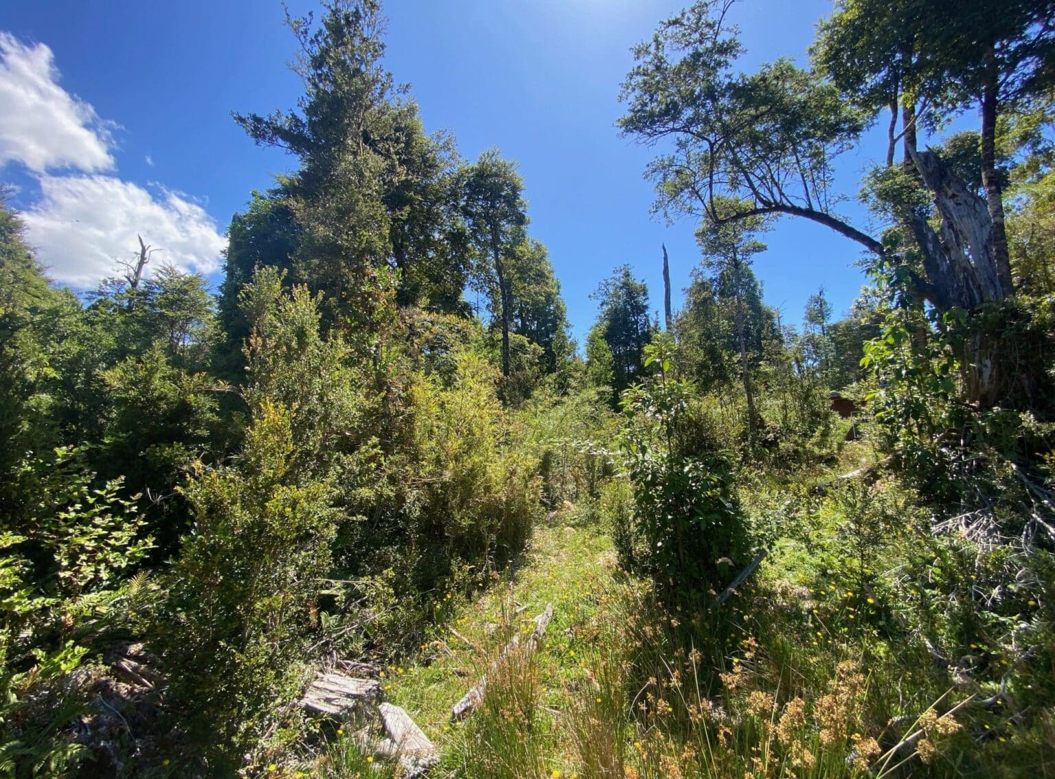 Parcela en venta en Puerto Varas — foto 6