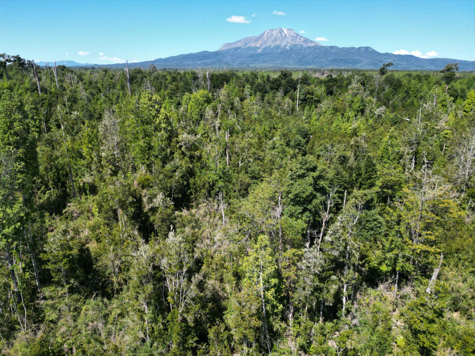 Parcela en venta en Puerto Varas — foto 7