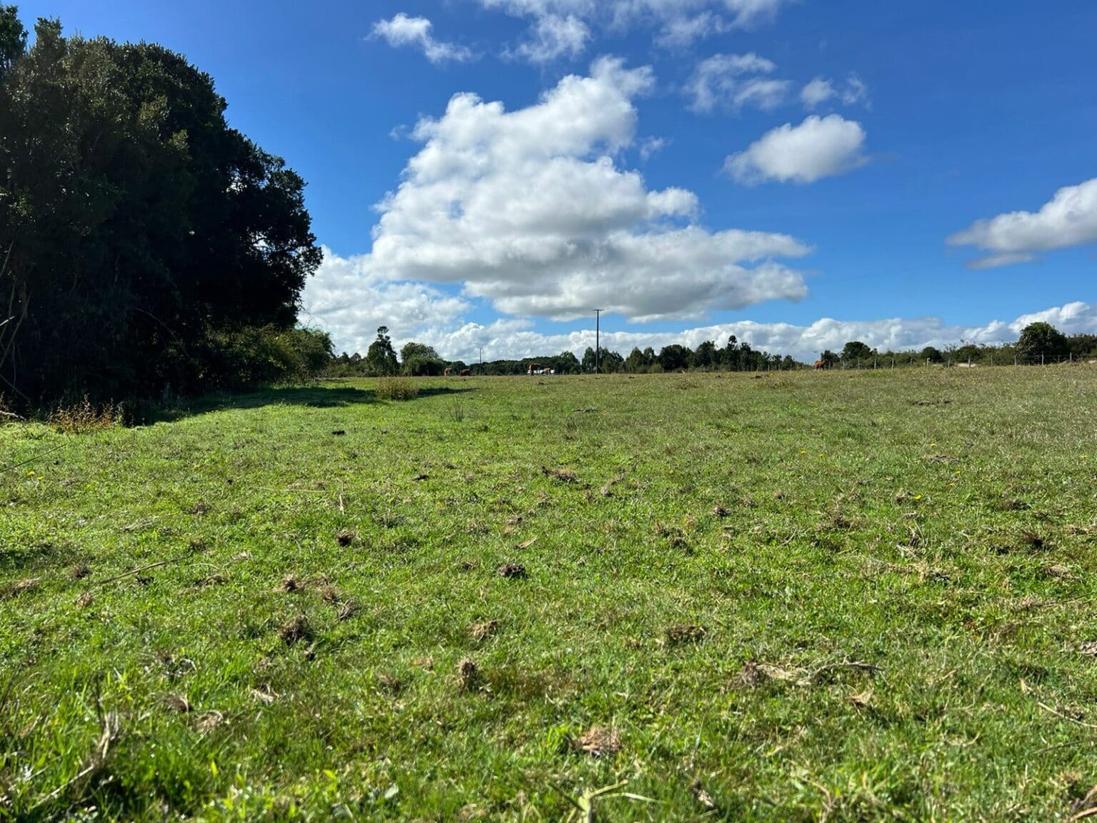 Terreno en venta en Maullín — foto 2
