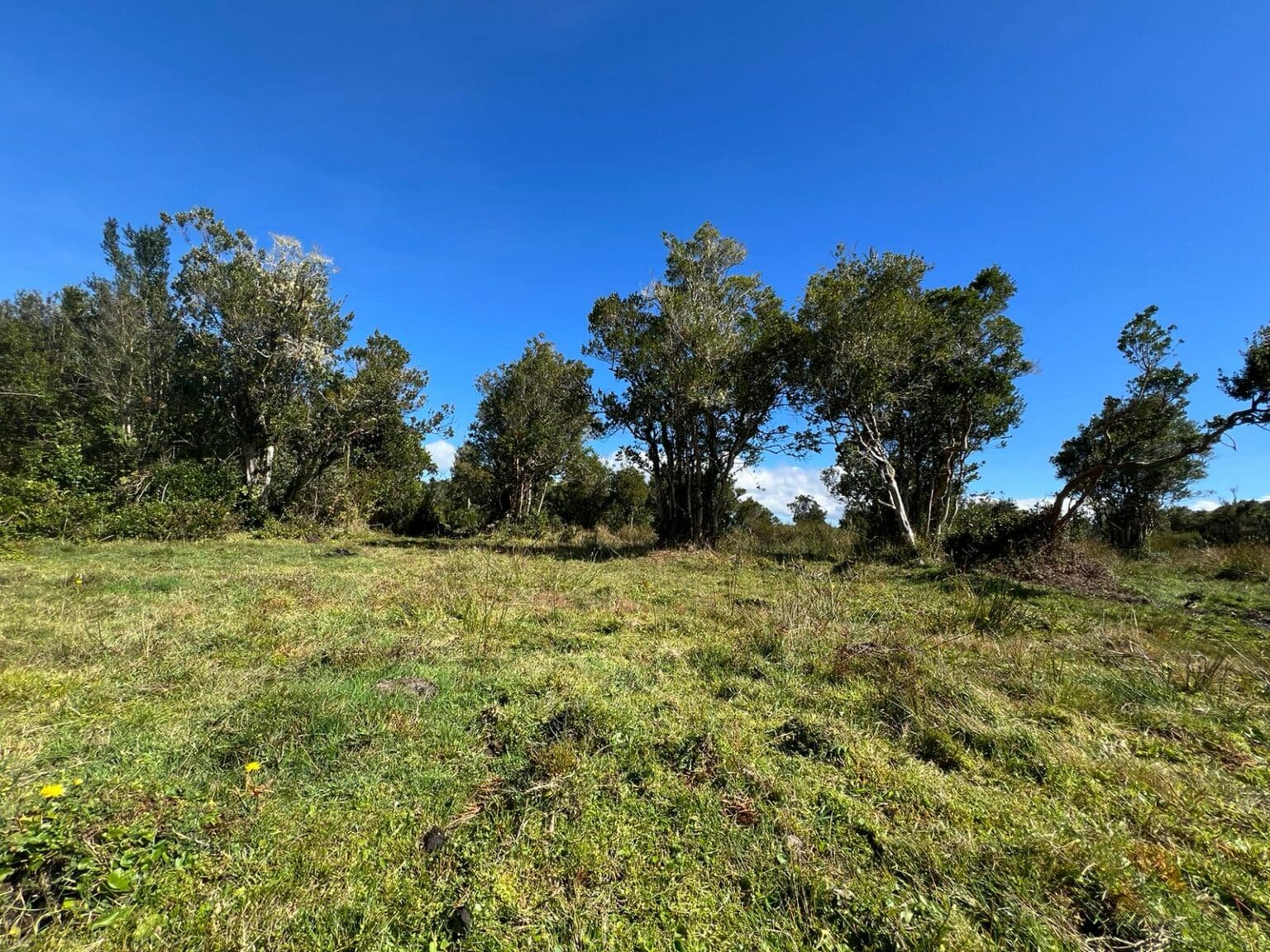 Terreno en venta en Maullín — foto 4