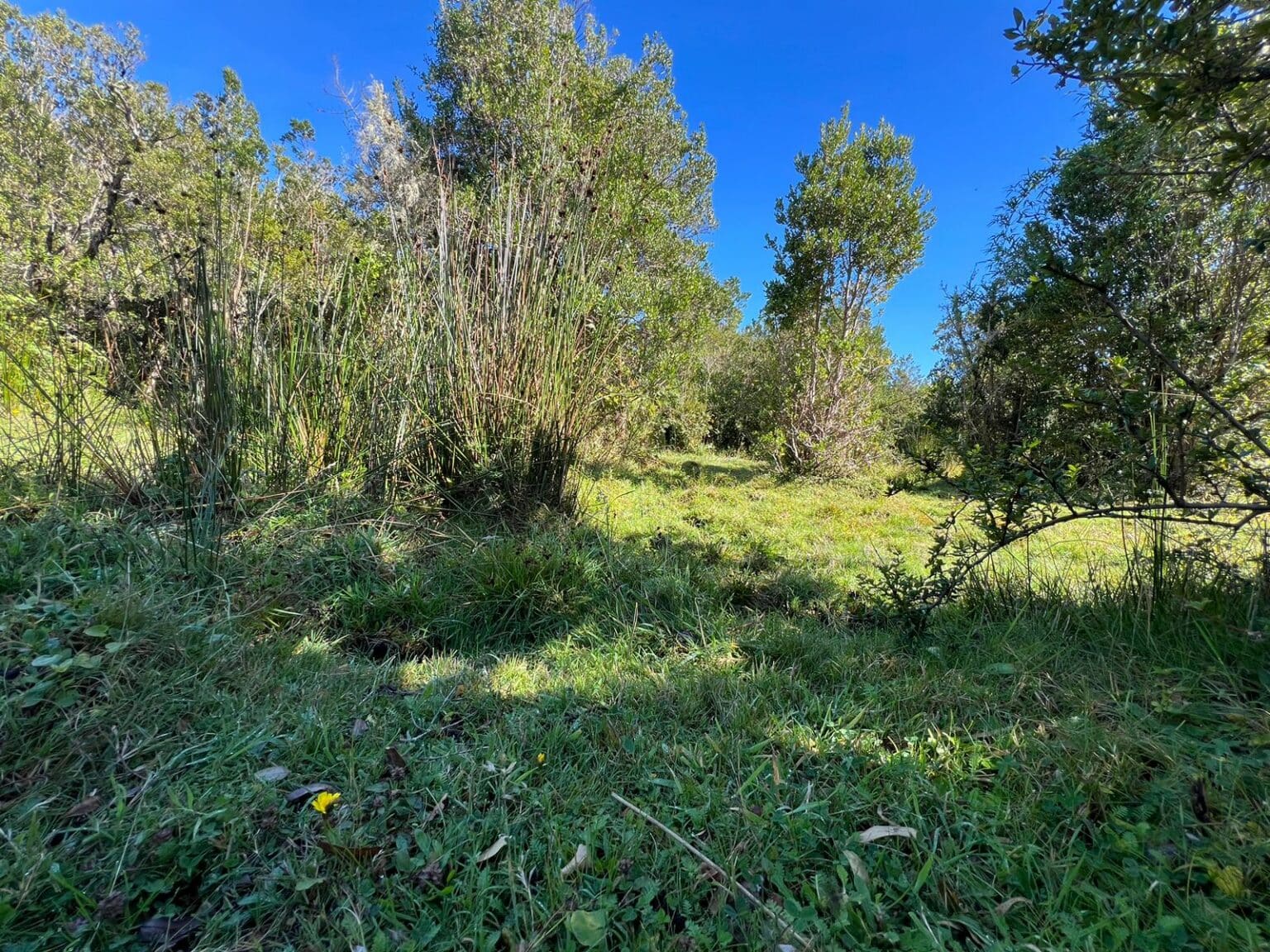 Terreno en venta en Maullín — foto 5