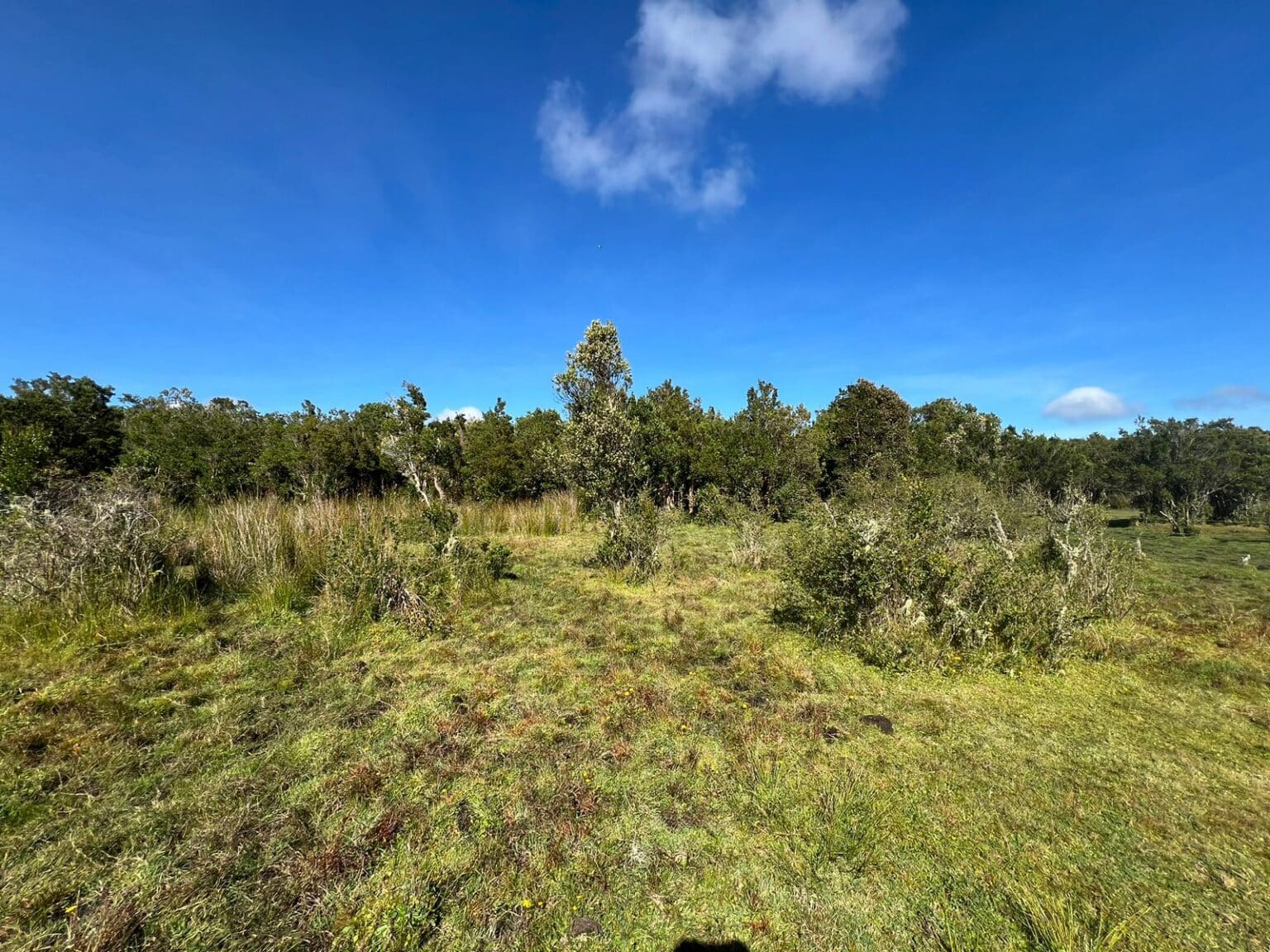 Terreno en venta en Maullín — foto 9