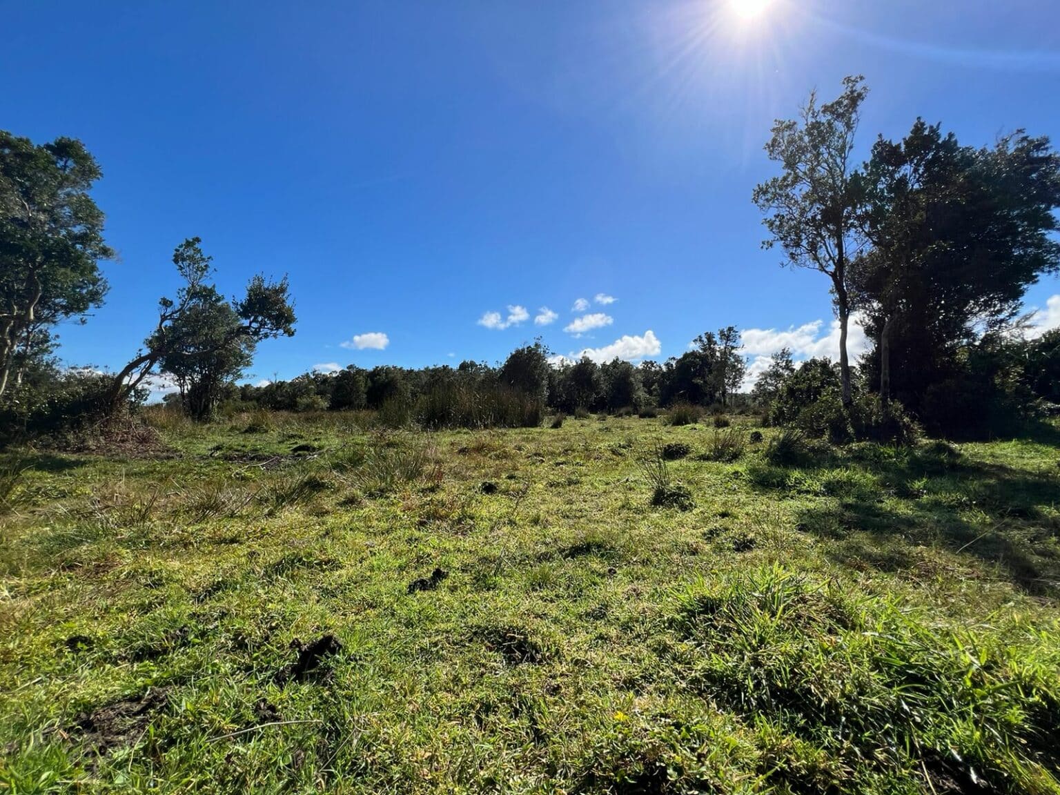 Terreno en venta en Maullín — foto 10