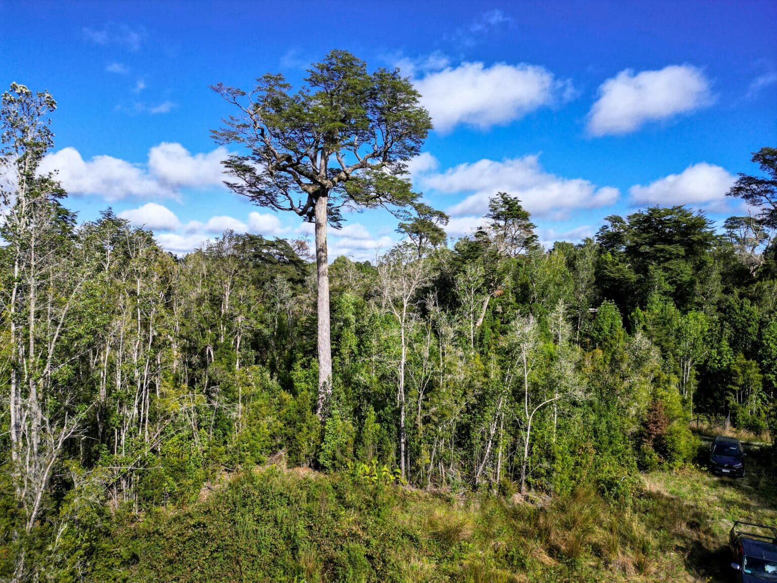 Parcela en venta en Puerto Varas — foto 2