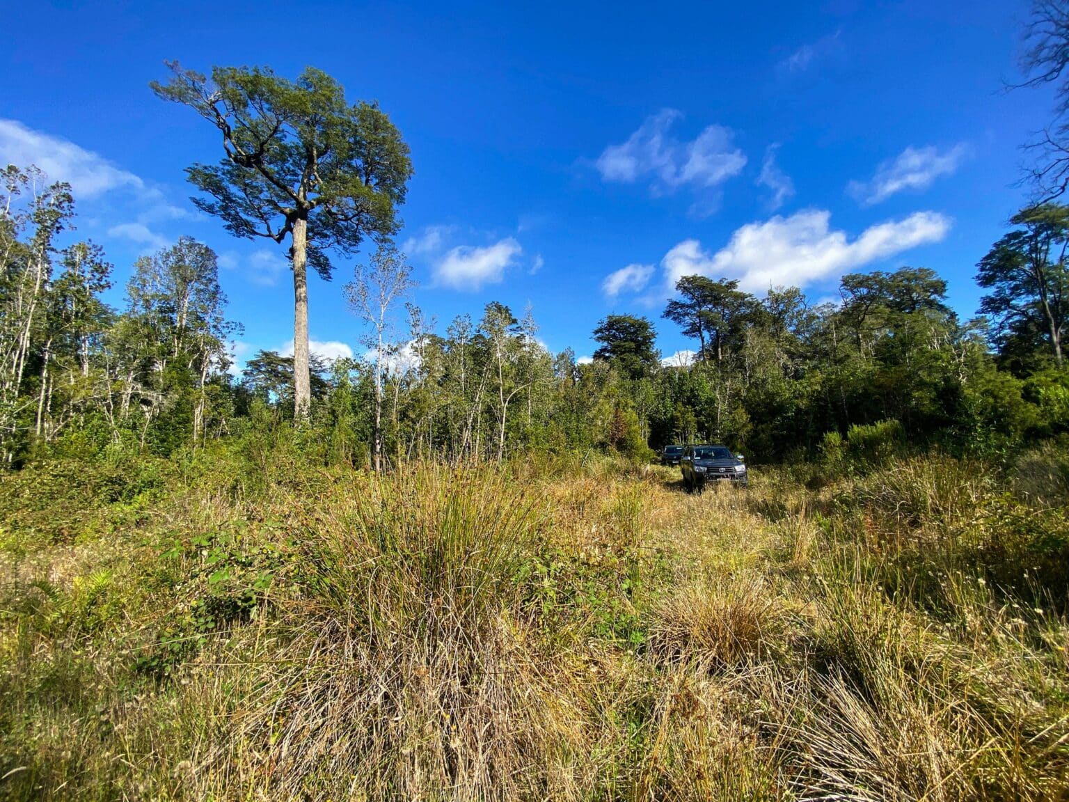 Parcela en venta en Puerto Varas — foto 4