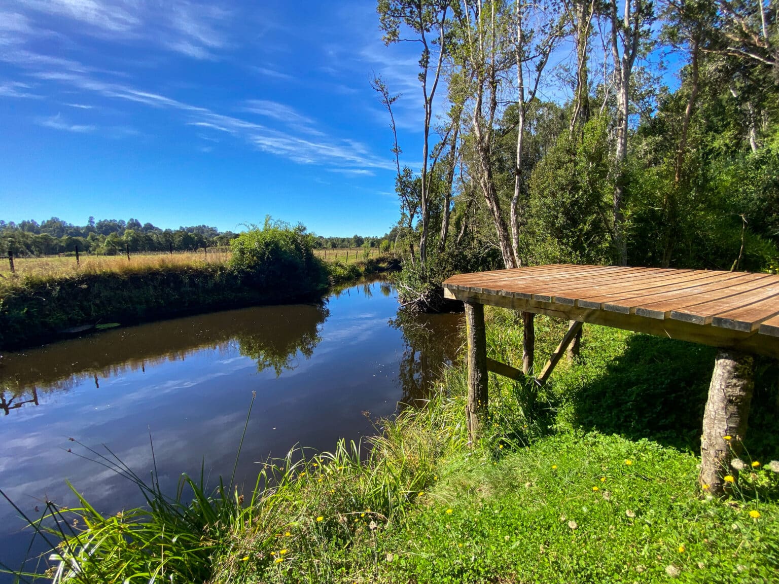 Parcela en venta en Los Muermos — foto 1