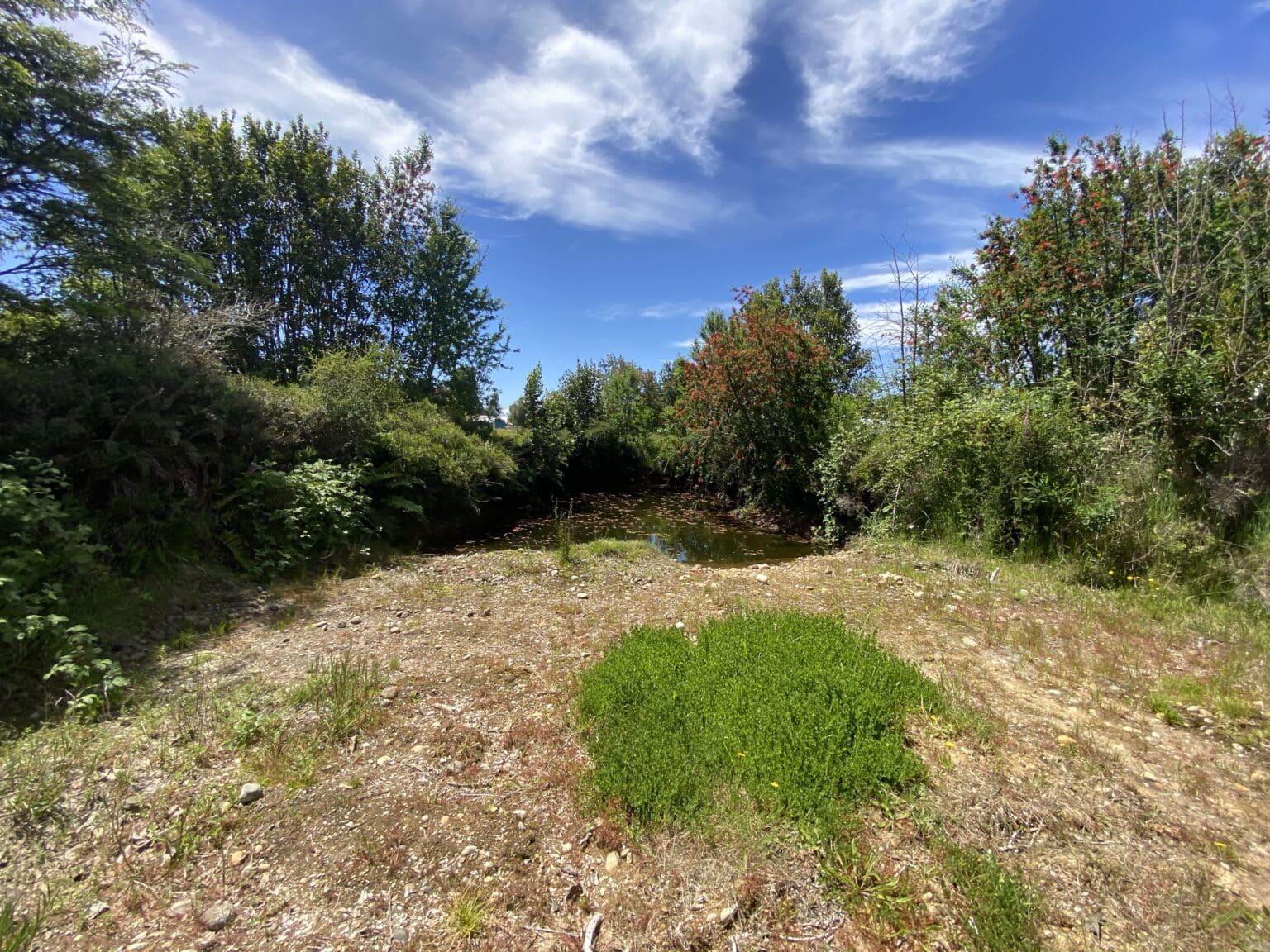 Terreno en venta en Puerto Varas — foto 5