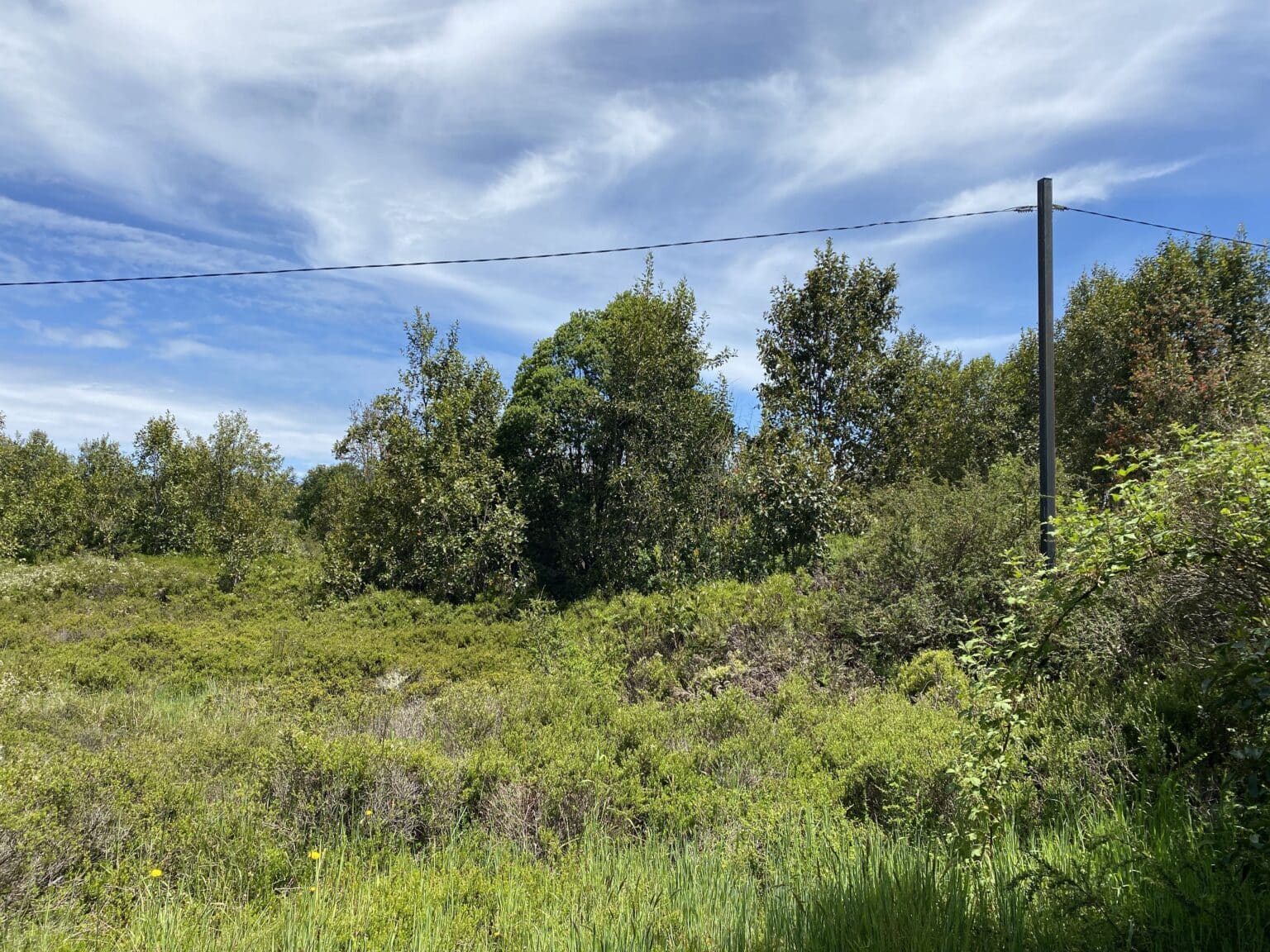Terreno en venta en Puerto Varas — foto 7