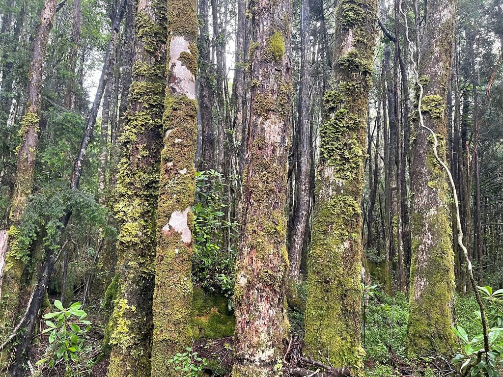 Terreno en venta en La Unión — foto 1